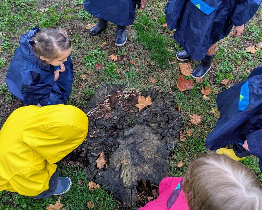 À la crèche des Acacias à Lyon 3, les enfants en capes de pluie pour se promener sous la pluie